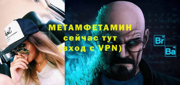 шишки Белокуриха